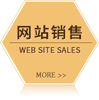網站銷售